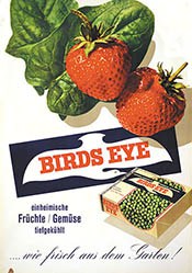 Annen E. - Birds Eye
