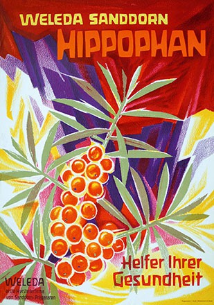 Roggenkamp - Hippophan