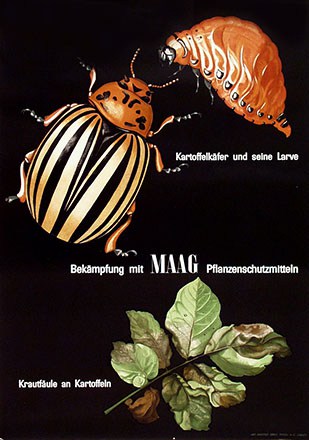 Maag Lotti - Maag Pflanzenschutzmittel