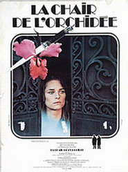 Ferracci - La Chair de l'Orchidée