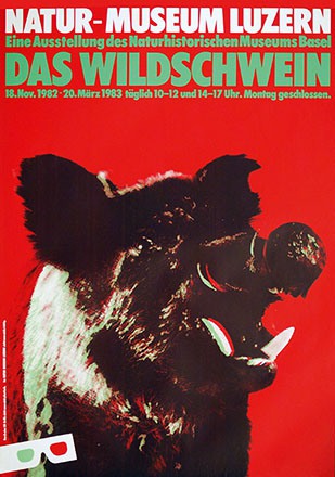 Steinemann Tino - Das Wildschwein