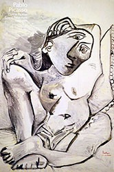 Anonym - Pablo Picasso
